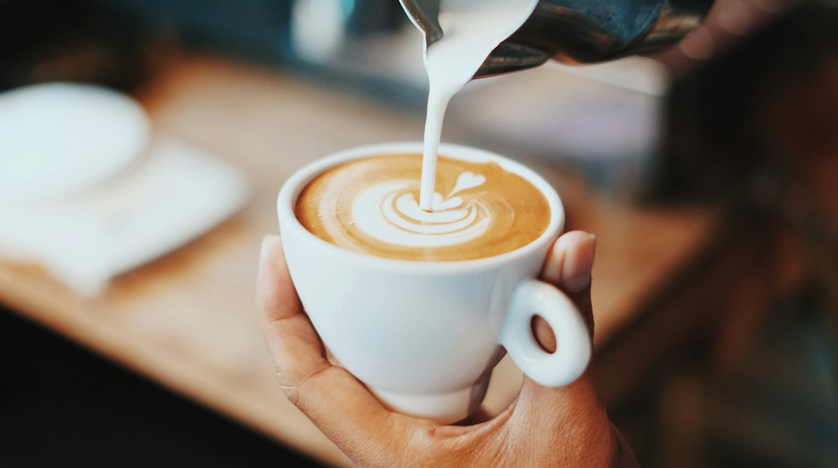 Café & torrefação